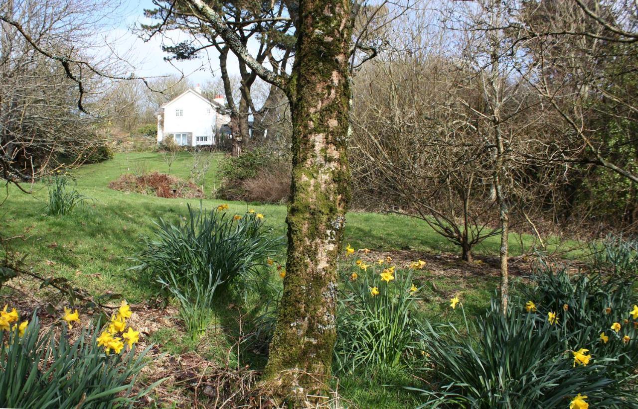 Coombe Farmhouse Bed & Breakfast St Ives  Exterior photo